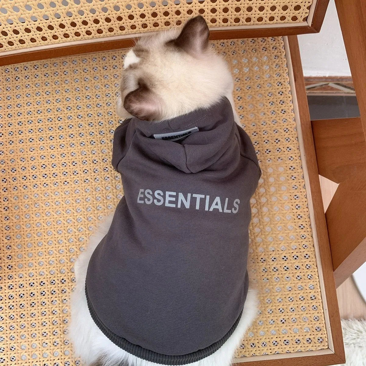 Spring Autumn Winter Pet Clothes Dog Coat Fashion Small and Medium Dog Warm Sweater Bichon Teddy Internal Velvet
