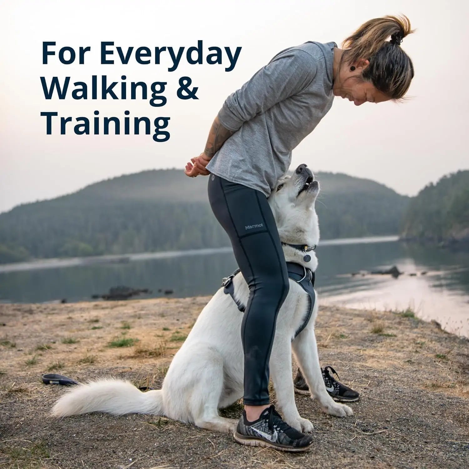 Front Range Dog Harness, Reflective Soft Padded Everyday Harness with Dual Leash Clips