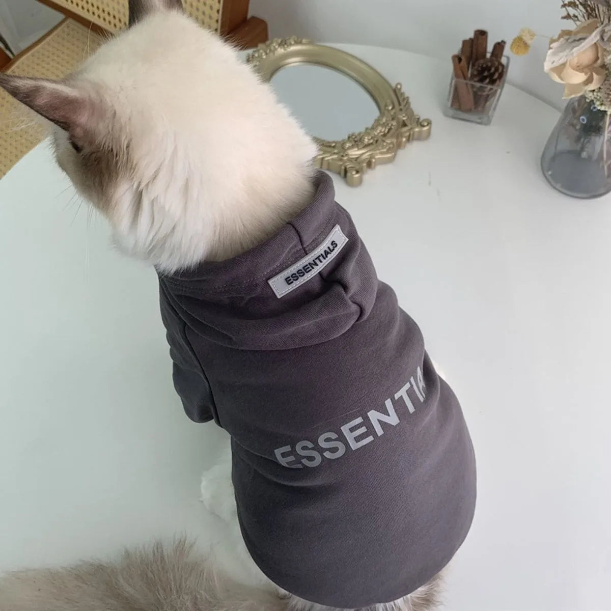 Spring Autumn Winter Pet Clothes Dog Coat Fashion Small and Medium Dog Warm Sweater Bichon Teddy Internal Velvet