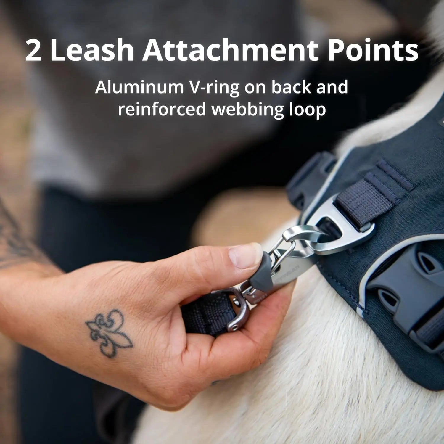 Front Range Dog Harness, Reflective Soft Padded Everyday Harness with Dual Leash Clips