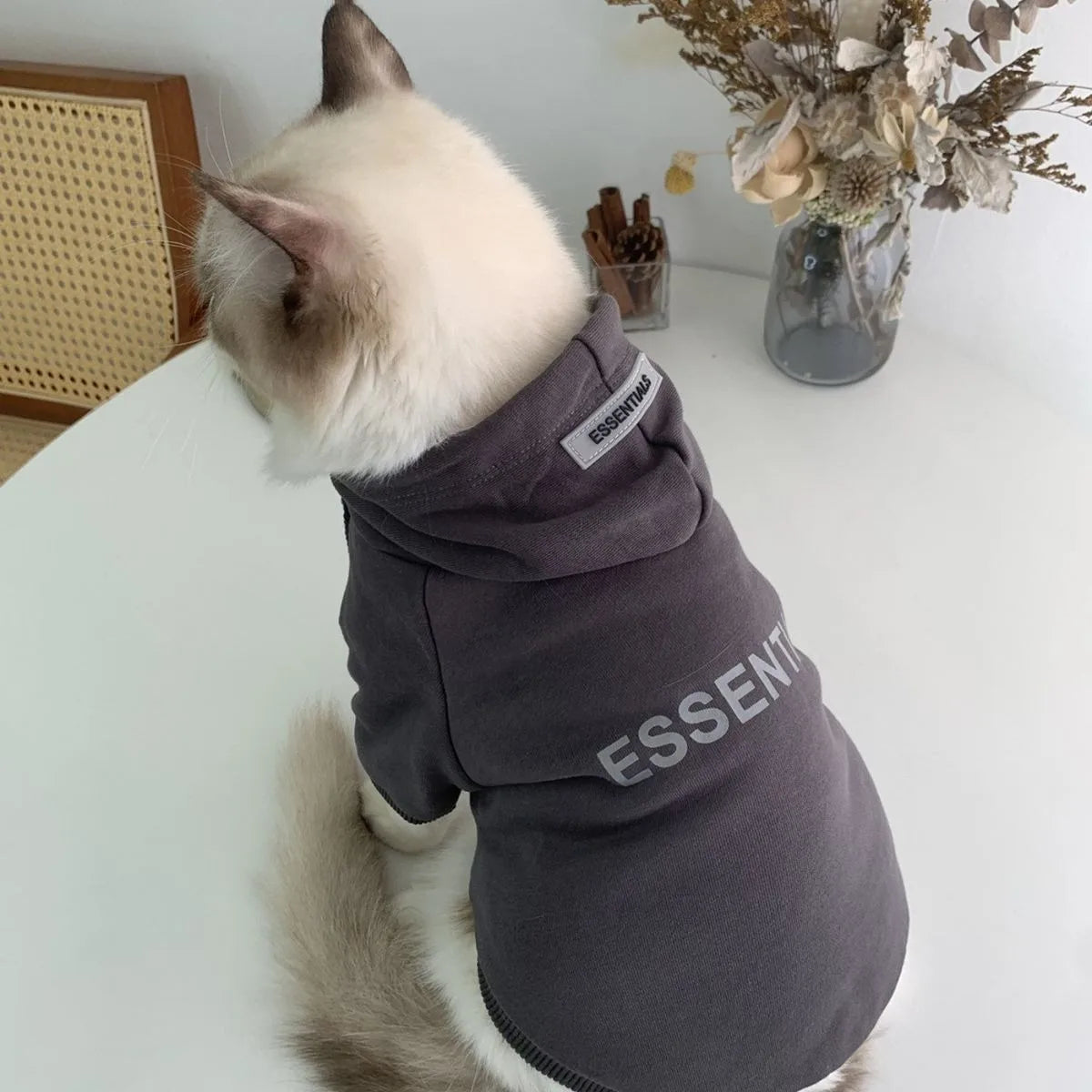 Spring Autumn Winter Pet Clothes Dog Coat Fashion Small and Medium Dog Warm Sweater Bichon Teddy Internal Velvet