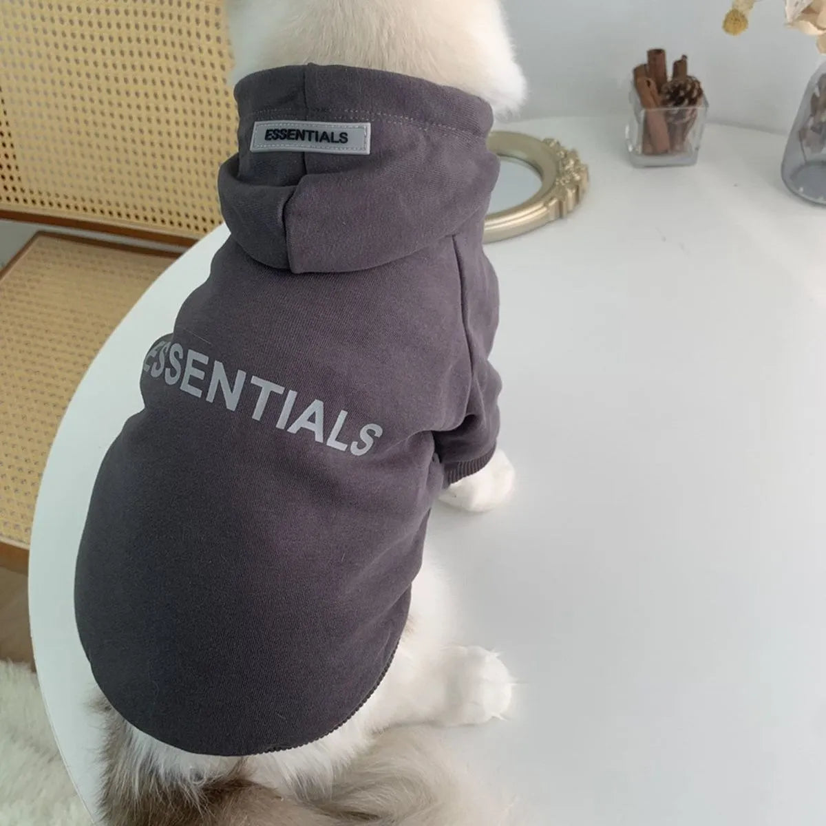 Spring Autumn Winter Pet Clothes Dog Coat Fashion Small and Medium Dog Warm Sweater Bichon Teddy Internal Velvet