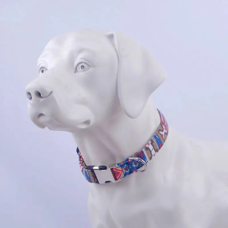 Edgy Dog Collar